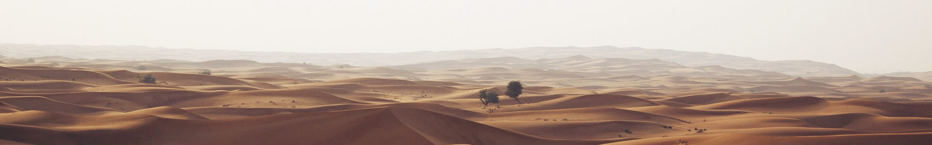 ϳɽƼ޹˾